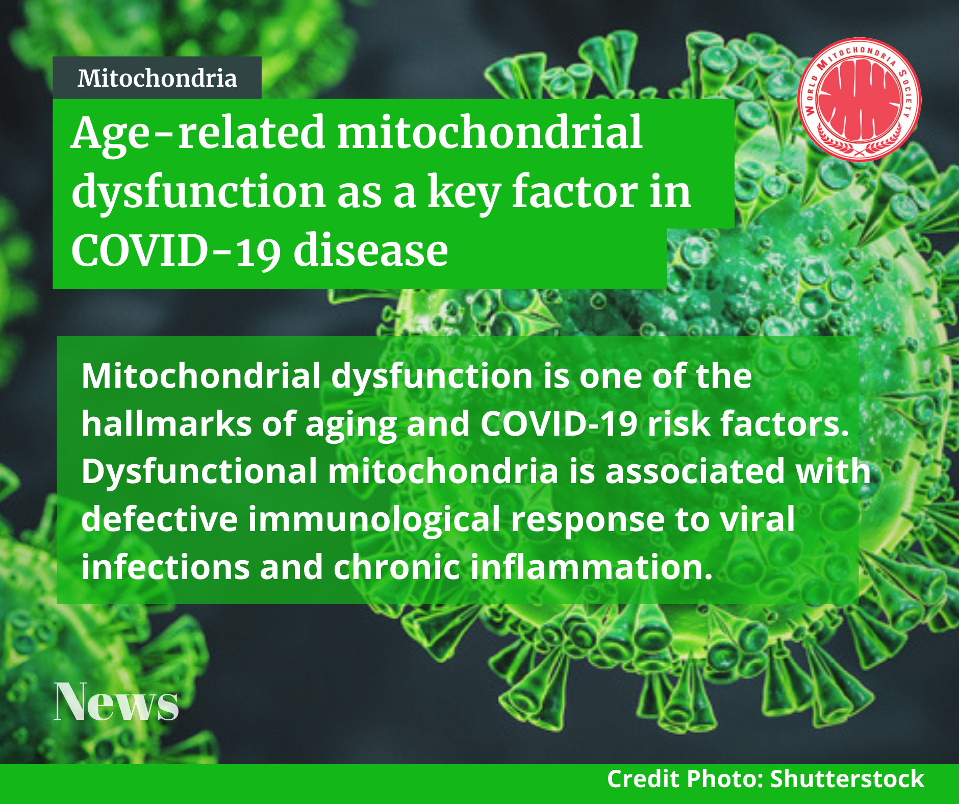 Age-Related Mitochondrial Dysfunction as a Key Factor in COVID-19 Disease