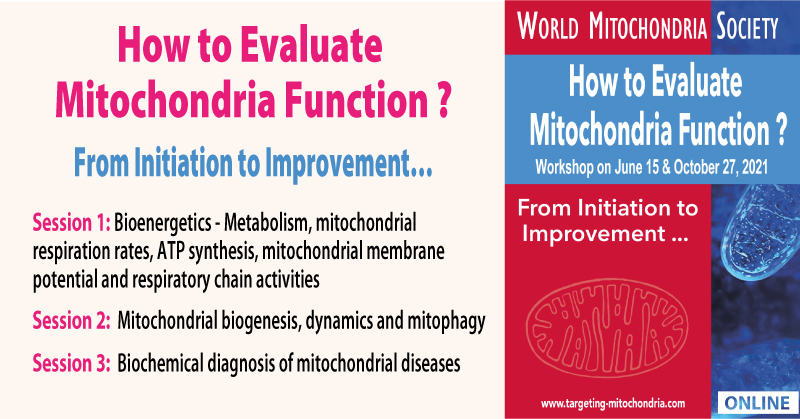 How-to-Evaluate-Mitochondria-Function v1